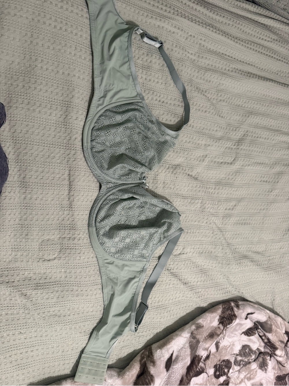 Glamorise Sage Green Lace Underwire Bra